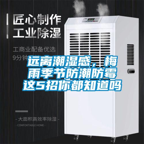 远离潮湿感，梅雨季节防潮防霉这5招你都知道吗