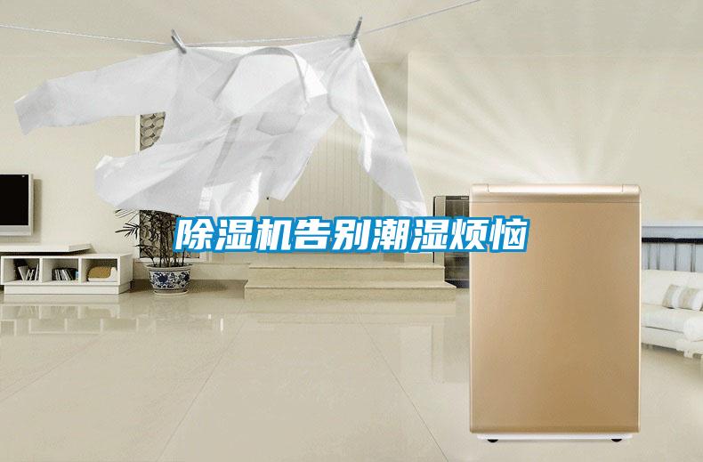 91抖音免费看片告别潮湿烦恼