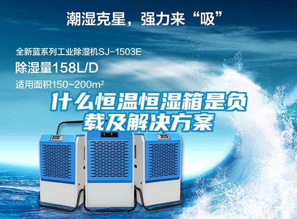 什么恒温恒湿箱是负载及成人抖音APP污下载