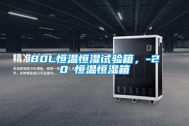 80L恒温恒湿试验箱，-20℃恒温恒湿箱