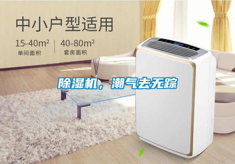 91抖音免费看片，潮气去无踪