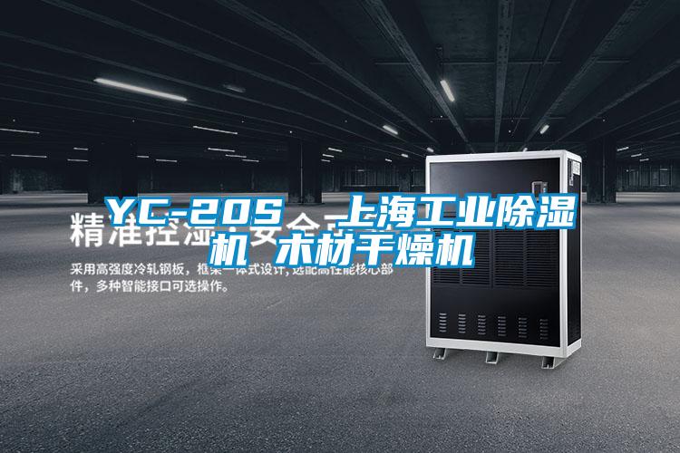 YC-20S  上海工业91抖音免费看片 木材干燥机