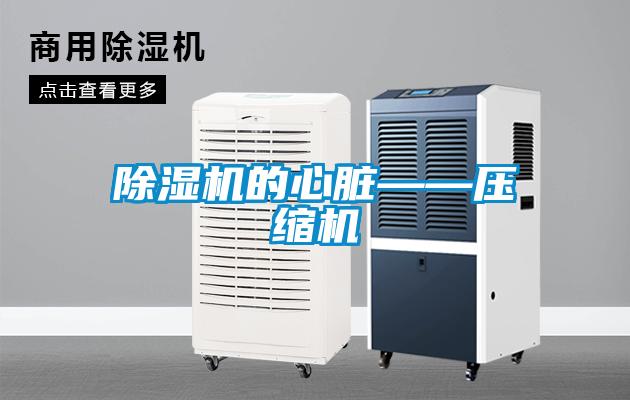 91抖音免费看片的心脏——压缩机