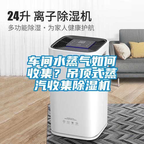 车间水蒸气如何收集？吊顶式蒸汽收集91抖音免费看片
