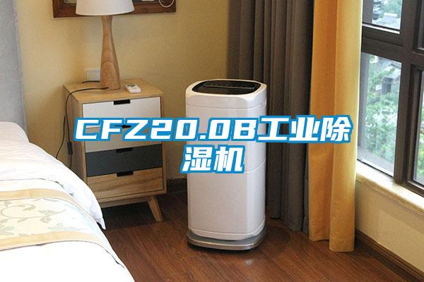 CFZ20.0B工业91抖音免费看片