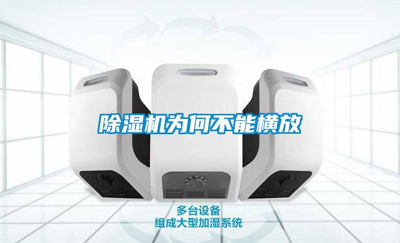 91抖音免费看片为何不能横放