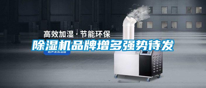 91抖音免费看片品牌增多强势待发