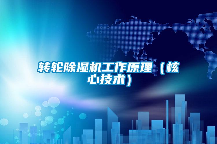 转轮91抖音免费看片工作原理（核心技术）