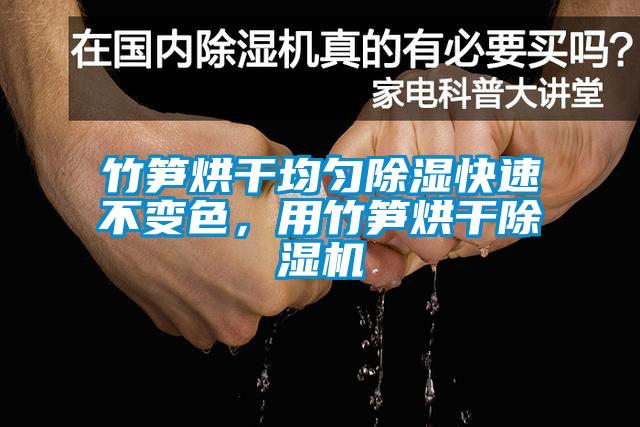 竹笋烘干均匀除湿快速不变色，用竹笋烘干91抖音免费看片
