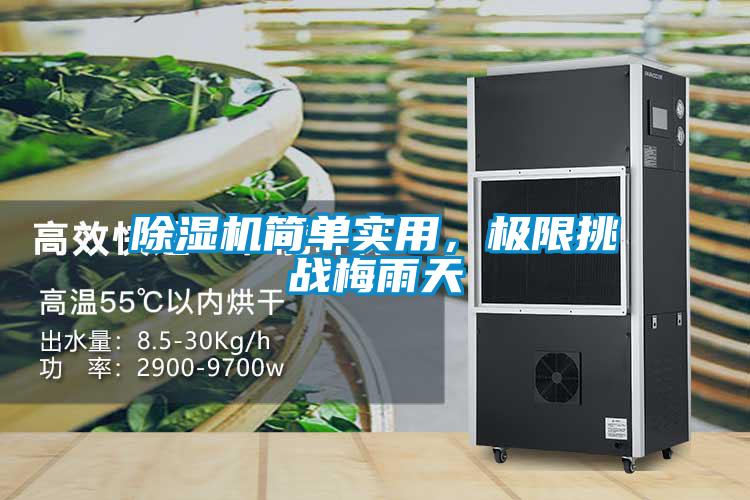 91抖音免费看片简单实用，极限挑战梅雨天