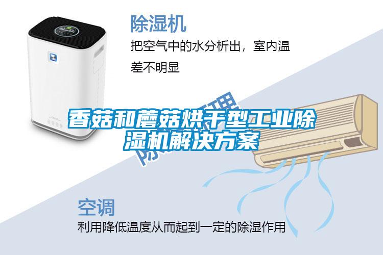 香菇和蘑菇烘干型工业91抖音免费看片成人抖音APP污下载