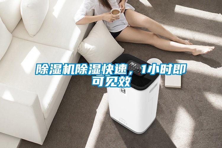 91抖音免费看片除湿快速，1小时即可见效