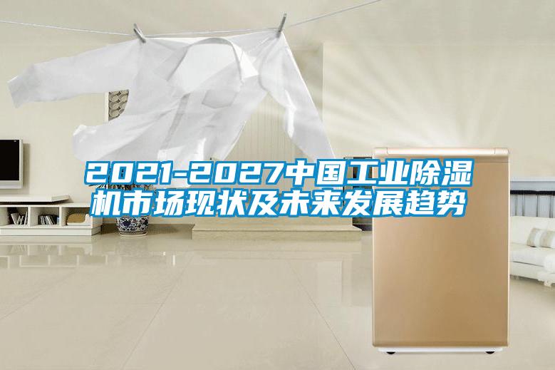 2021-2027中国工业91抖音免费看片市场现状及未来发展趋势