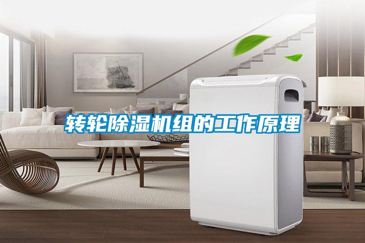 转轮91抖音免费看片组的工作原理
