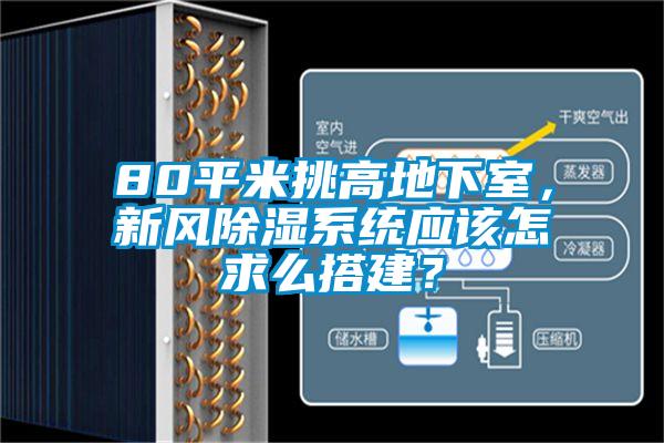 80平米挑高地下室，新风除湿系统应该怎求么搭建？