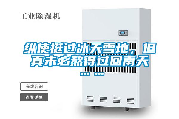 纵使挺过冰天雪地，但真未必熬得过回南天……