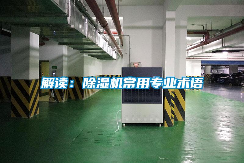 解读：91抖音免费看片常用专业术语