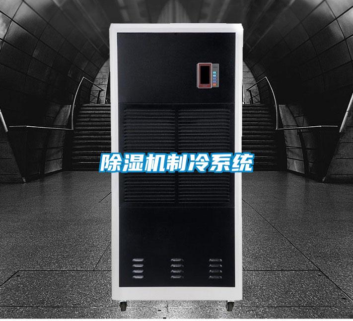 91抖音免费看片制冷系统