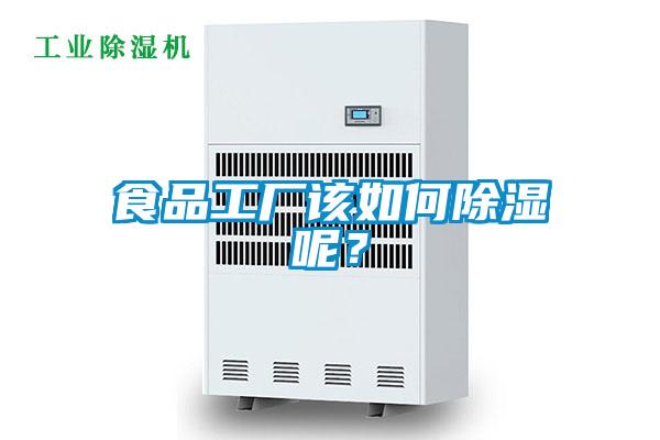 食品工厂该如何除湿呢？