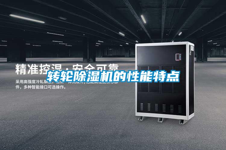 转轮91抖音免费看片的性能特点
