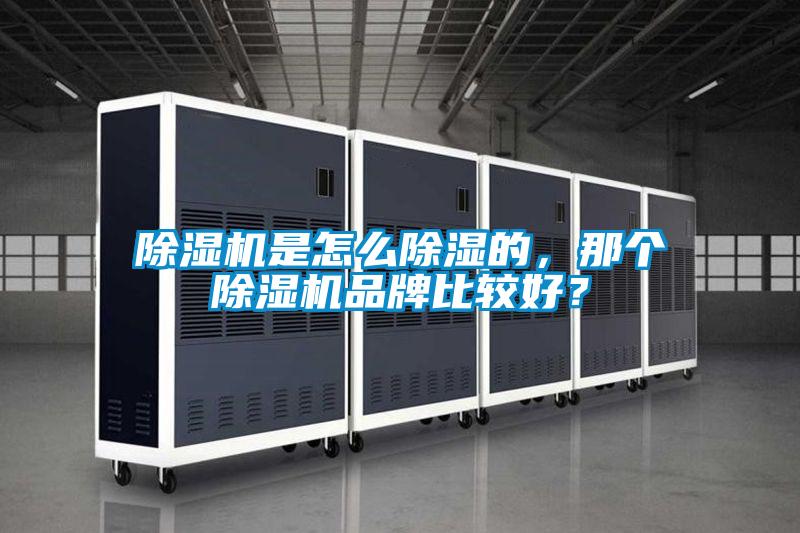91抖音免费看片是怎么除湿的，那个91抖音免费看片品牌比较好？