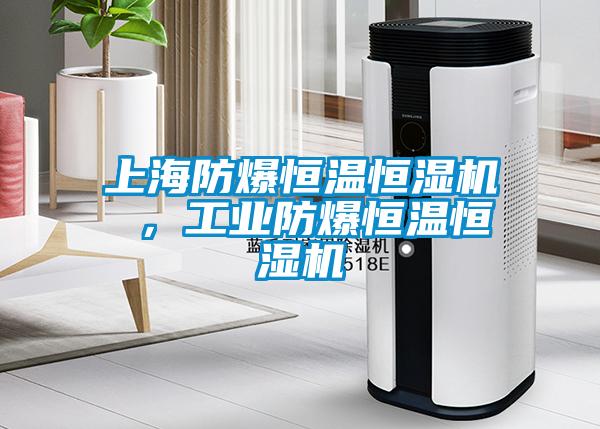 上海防爆恒温恒湿机 ，工业防爆恒温恒湿机