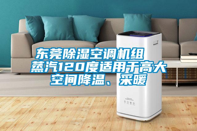东莞除湿空调机组  蒸汽120度适用于高大空间降温、采暖
