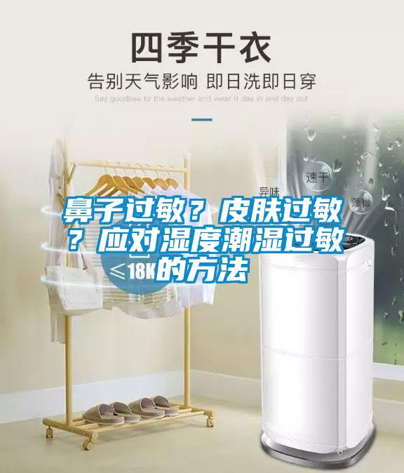 鼻子过敏？皮肤过敏？应对湿度潮湿过敏的方法