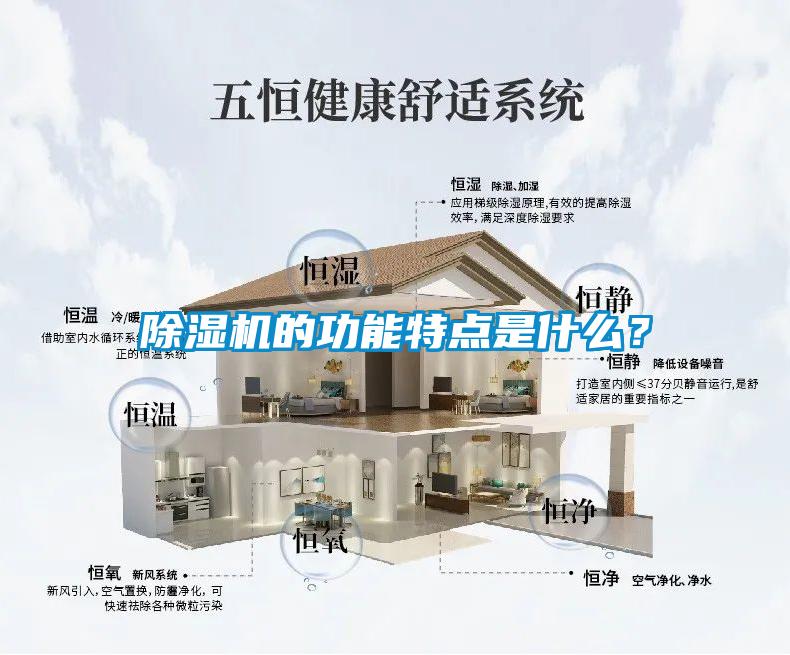 91抖音免费看片的功能特点是什么？