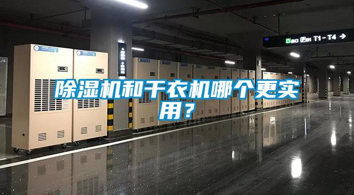 91抖音免费看片和干衣机哪个更实用？