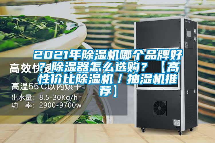 2021年91抖音免费看片哪个品牌好？除湿器怎么选购？【高性价比91抖音免费看片／抽湿机推荐】