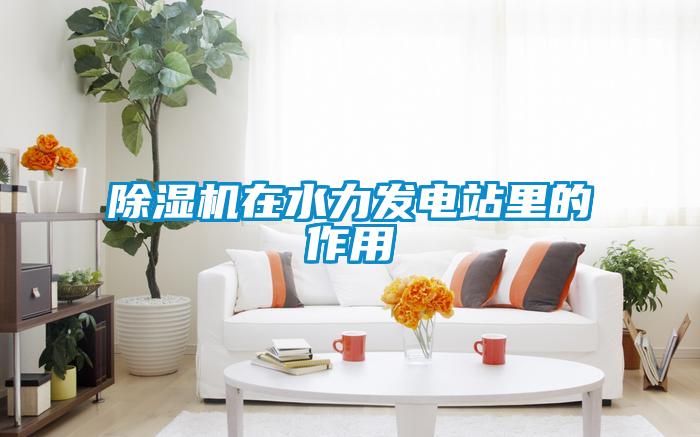 91抖音免费看片在水力发电站里的作用