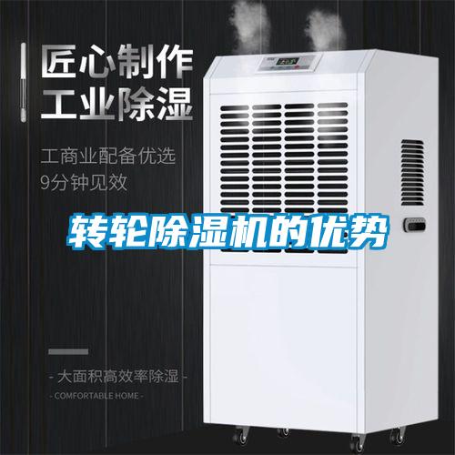 转轮91抖音免费看片的优势