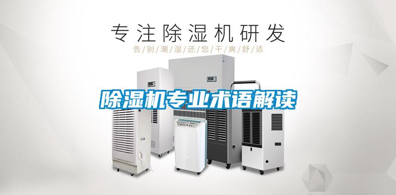 91抖音免费看片专业术语解读