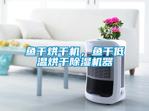 鱼干烘干机，鱼干低温烘干91抖音免费看片器