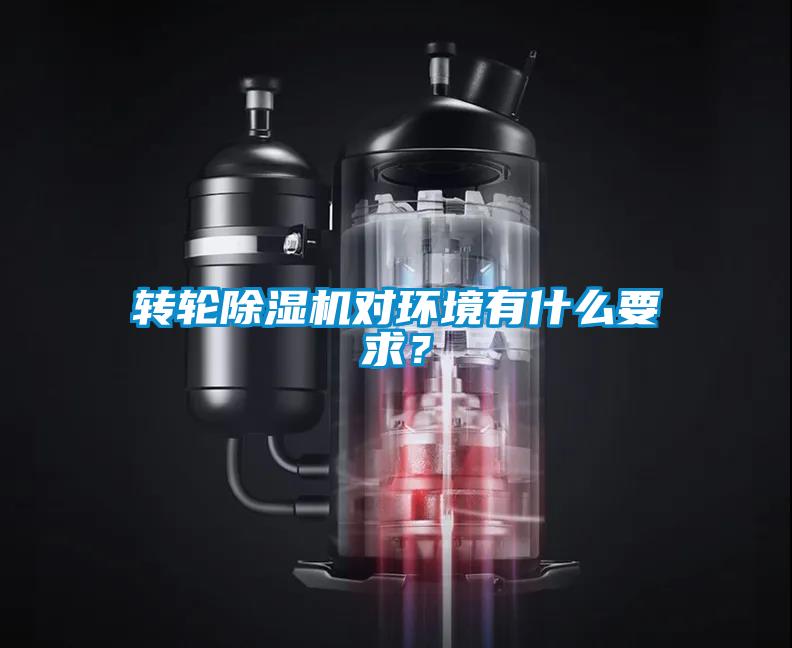 转轮91抖音免费看片对环境有什么要求？