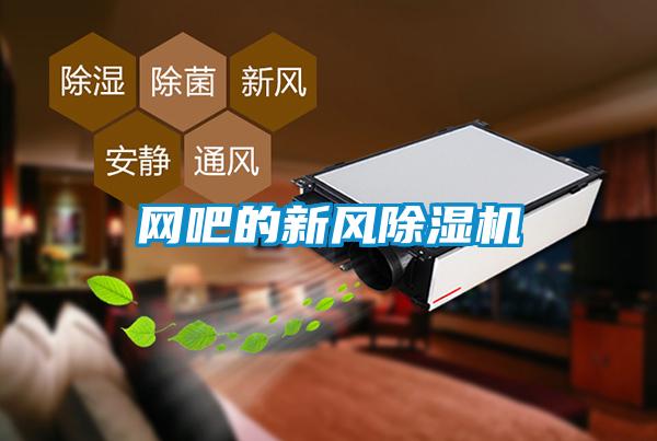 网吧的新风91抖音免费看片
