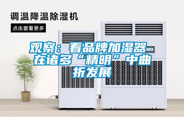 观察：看品牌加湿器 在诸多“精明”中曲折发展