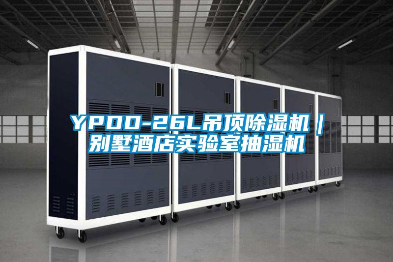 YPDD-26L吊顶91抖音免费看片｜别墅酒店实验室抽湿机