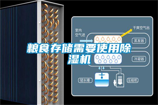 粮食存储需要使用91抖音免费看片