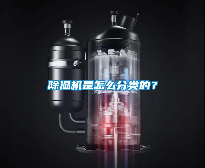 91抖音免费看片是怎么分类的？