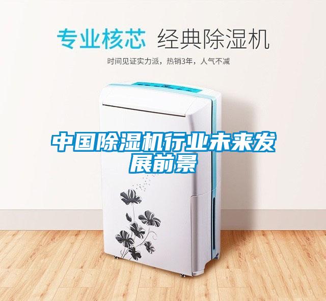 中国91抖音免费看片行业未来发展前景