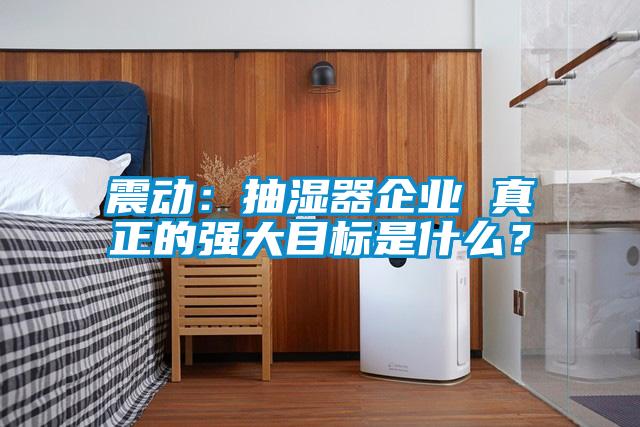 震动：抽湿器企业 真正的强大目标是什么？