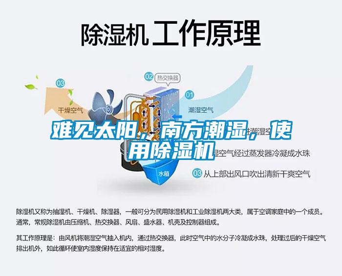 难见太阳，南方潮湿，使用91抖音免费看片