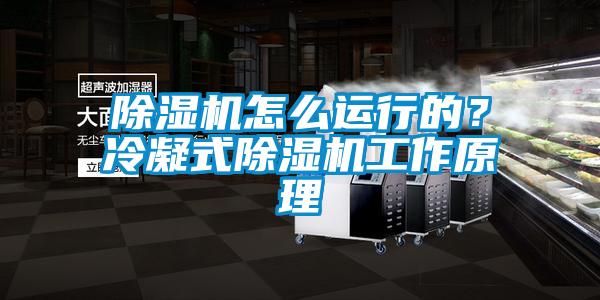91抖音免费看片怎么运行的？冷凝式91抖音免费看片工作原理