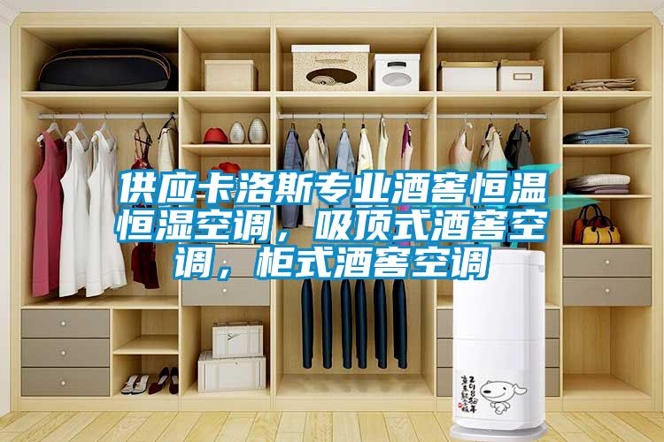 供应卡洛斯专业酒窖恒温恒湿空调，吸顶式酒窖空调，柜式酒窖空调