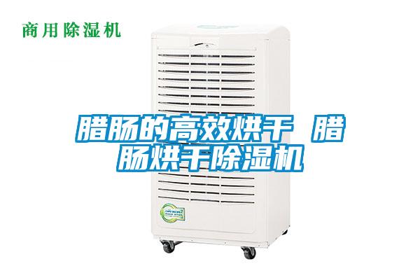 腊肠的高效烘干 腊肠烘干91抖音免费看片