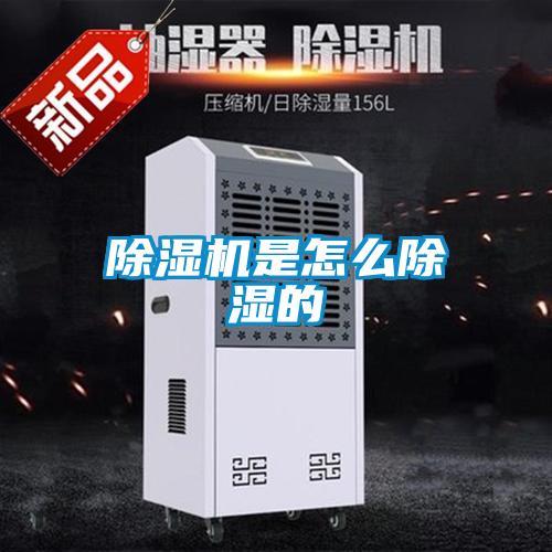 91抖音免费看片是怎么除湿的