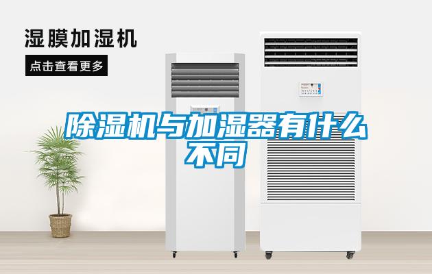 91抖音免费看片与加湿器有什么不同