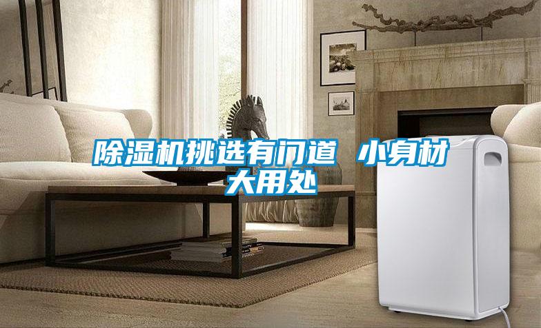 91抖音免费看片挑选有门道 小身材大用处
